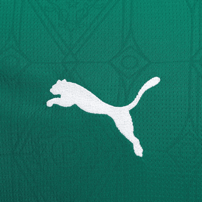 Palmeiras home 25/26